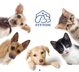 宠物救助爆料怎么做视频,如何制作引人关注的视频内容 第3张 宠物救助爆料怎么做视频,如何制作引人关注的视频内容 第3张